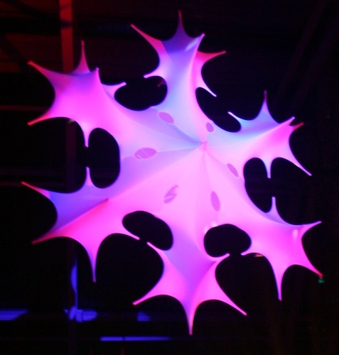 Photo of Lights on Snowflake